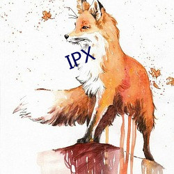 IPX