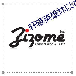 軒轅英雄林以衣小說免費閱讀