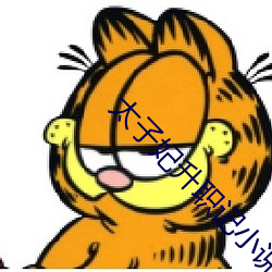 太子(子)妃升职记小说