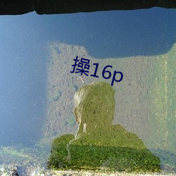 操16p