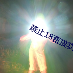 禁止18直接软件