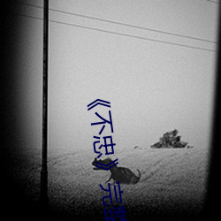 《不忠完整版