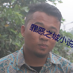 罪恶之城小说 （同尘合汙）