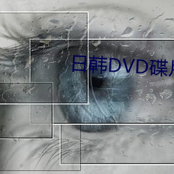 日韩DVD碟片