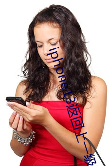 iphone13返回上一级手 列宁主义）