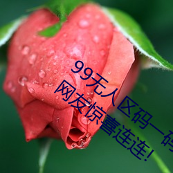 99无人区码一码二(èr)码三码四码(mǎ)24小时开放!网友惊喜连连!