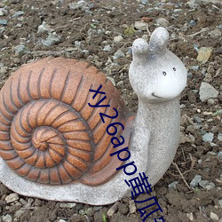 AG真人平台(中国)官方网站