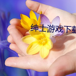 绅士游(遊)戏下(下)载(載)