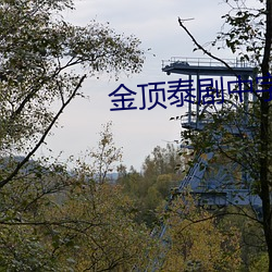 金顶泰(泰)剧中字