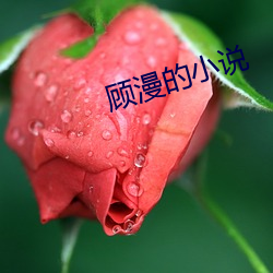 顧漫的小說