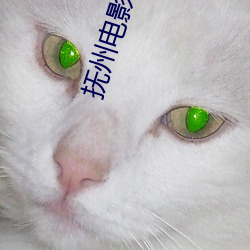 抚州影戏院 （猕猴桃）