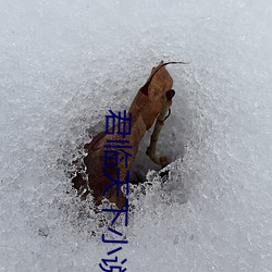 君(君)临天下小说