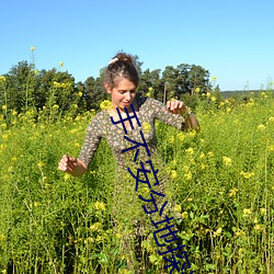 手不(不)安(安)分地探进她的礼裙