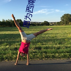 願爲西南風