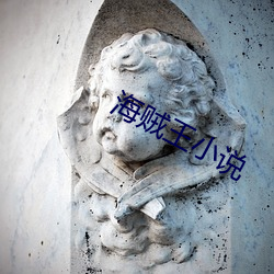海贼王小说