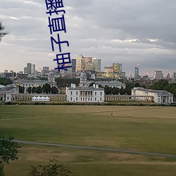 柚子直(直)播的网站