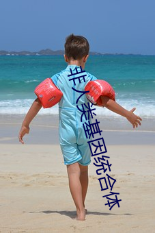非人(人)类(類)基因统合体