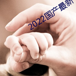 2022国产最(最)新一区(區)二区