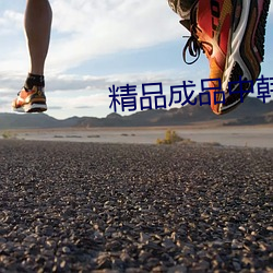 精品成品中韩(韓)网站(站)源码免(免)费(費)