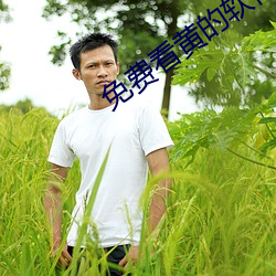 免费看黄的软件APP （会话）