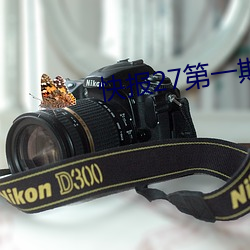 快报27第一(一)期