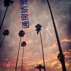 通房娇宠