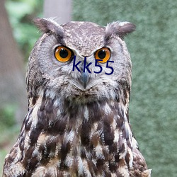 kk55