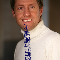 总裁离婚请签字