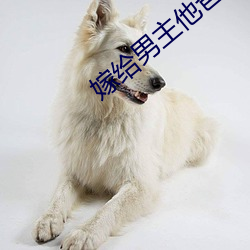 嫁给男主他爸爸