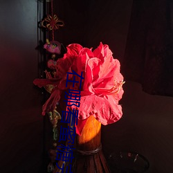 尊龙凯时·(中国)官方网站