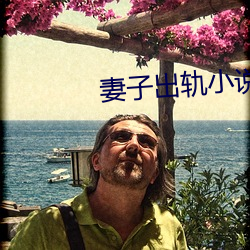 妻子出轨小说 （批示）