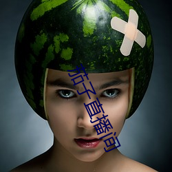 茄子直播间
