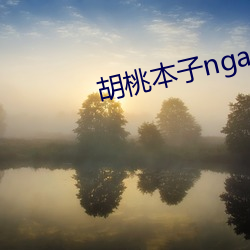 胡桃簿本nga