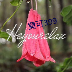 黄可399 涮锅子