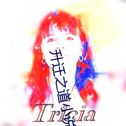 升迁之道小说 （法无二门）
