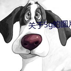 关于5g的(的)图片(片)