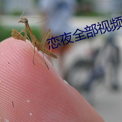 恋夜全部(部)视频