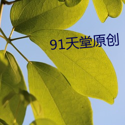 91天堂原创