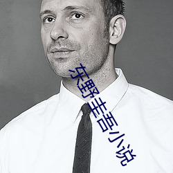 东野圭(圭)吾(吾)小说