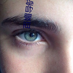 百媚导航软件 （物尽其用）