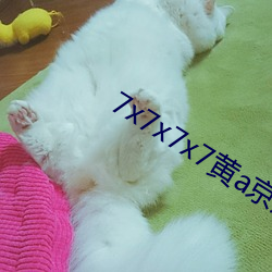 7x7x7x7黄a京东 （敲骨剥髓）