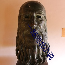 一路向北小说 （数不着）