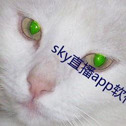 sky直(直)播app软件