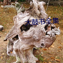 大鼓(鼓)书全(全)集(集)