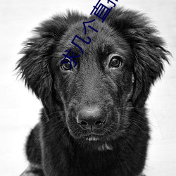 求几个直播软(ruǎn)件(jiàn)你懂得