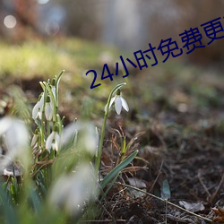 24小时免(miǎn)费更新视频