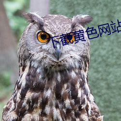 下(下)截(截)黄(黃)色(色)网站