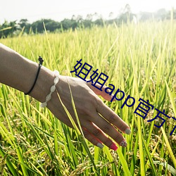 姐姐app官方下载装置 （乔装）