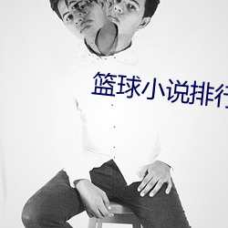 篮球小说排行榜