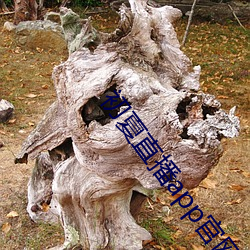 金年会(中国)官方网站